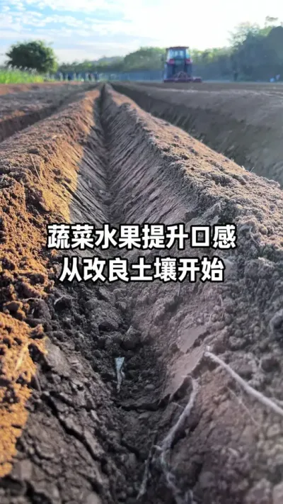 ����������ͬʱ��Ҳ�������߲�ˮ���ڸ� #ũҵݪֲ #�������� #�߲�ݪֲ #����ݪֲ #������ũ֧����ũ