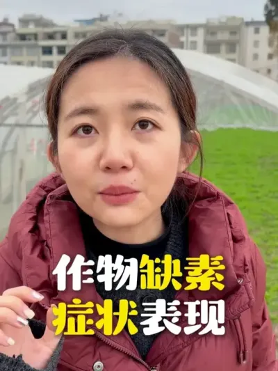 һ��ѧũ֮����ȱ��֢״��������������в����Ͻ��ĵط���ָ�� #��ũ #ũҵ #ݪֲС���� #ũ�ʻ���