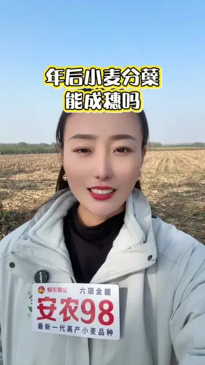 ���С������ܲ��ɳ��� �����ĳ�ס��#��ũ #ũҵݪֲ #��ũ98 #С����� #������ũ