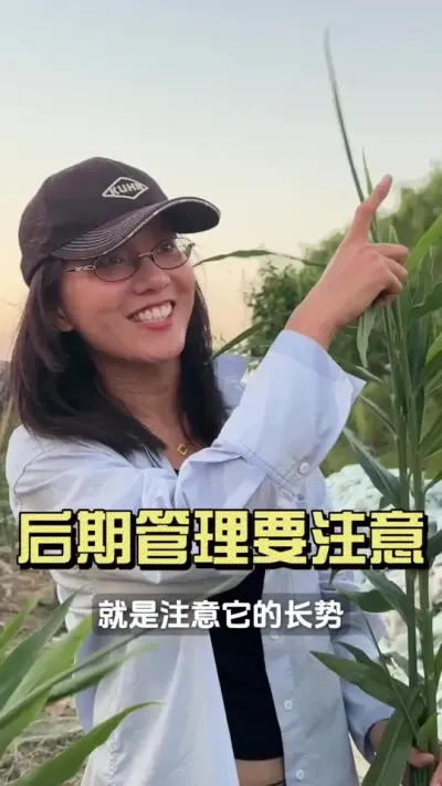 �߰��·��Ǵ�����������Ҫ��ʱ�ڣ�#��ũ������2025 #������ѧũ�� #�����ػ��� #��ݪֲ