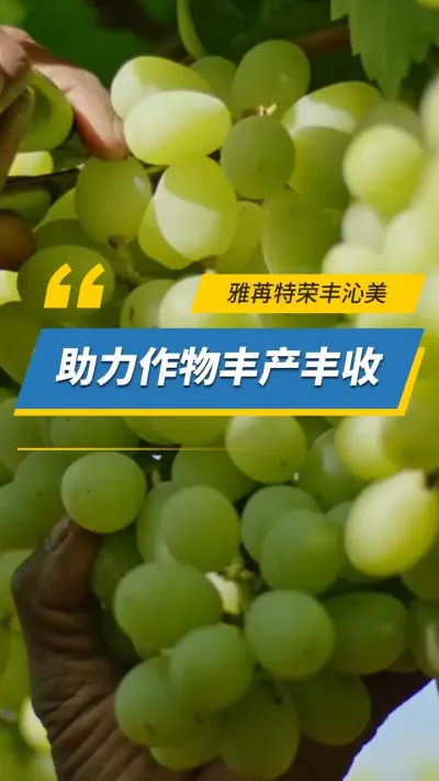 �������ٷ���������������������#���۹��� #���� #���۷����� #ˮ�ܷ� #ũҵݪֲ 