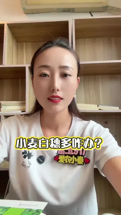 С������զ�� ���ǻ�Ǯ����Ǯ���ں��ʵĵط�#��ũ #С����� #����917 #���� #������ũ