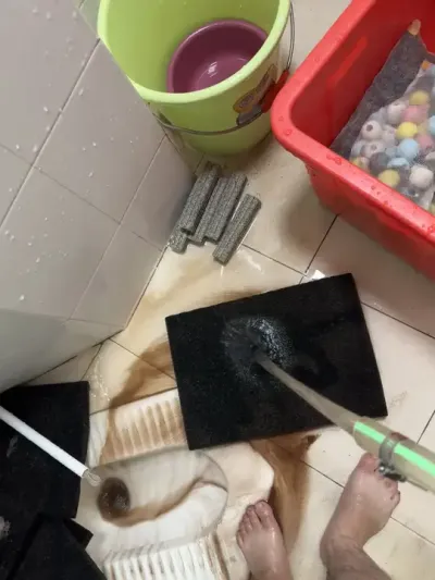 #������ #���շ���