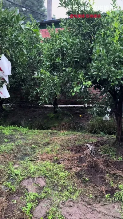 ��λ ���ó�̫��#�ҵ��������� #��ũ #��Ц