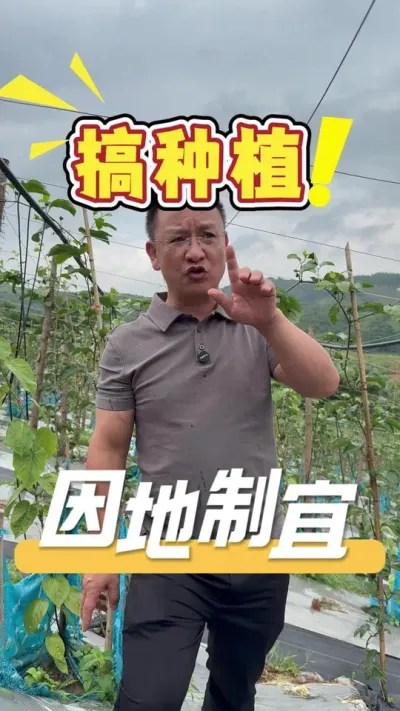 ��ݪֲ���ڹ���ʱ��һ����Ҫ�ձ����Ƶ�������ѧ�������������������������������ѡ����ʵĹ���Ҫ����#ݪֲС����#ݪֲ����#��ũ#ũҵ�����ƹ�