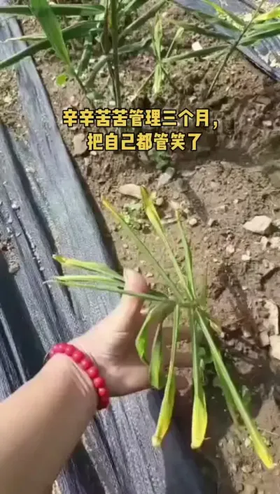 ������Ѯ���� ��ũ�����ڿ����ڿҿ���ɹ�紵�������������������Լ���Ц����