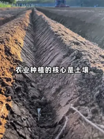 �������������յĸ���Ҳ��ũҵ�����Ļ����� #�������� #�������� #ũҵݪֲ #�������� #����