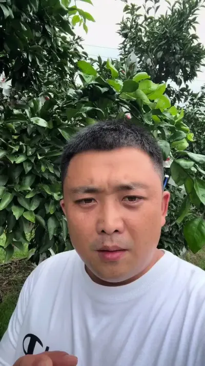 ����ҶƬ�������#��ũ #ũҵݪֲ #����ݪֲ #��ũ