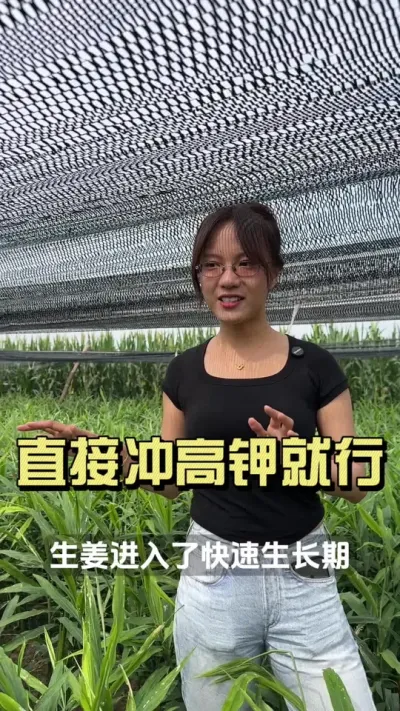 ���������������ã�����������һ���������������������������ش�������������������ʱ�ڳ���͹��ˣ�#��ũ������2025 #������ѧũ�� #��ݪֲ #�����ػ���