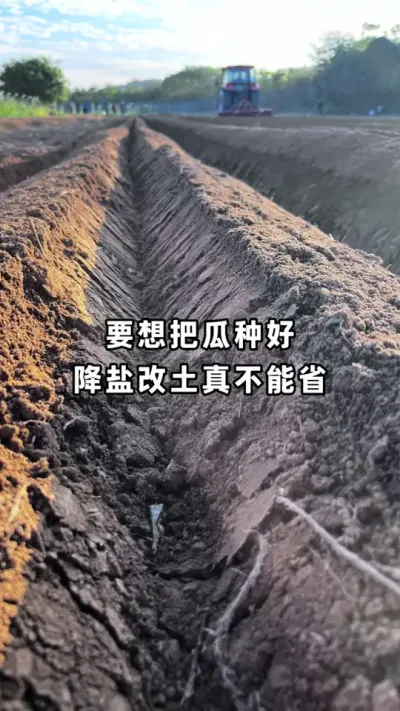 Ҫ��ѹ��ֺ������θ����ⲽ�治��ʡ #�������� #�������� #����ݪֲ #ũҵݪֲ #������ũ֧����ũ