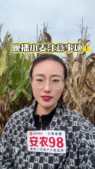 ����С��ע������?? ɢ����������ǳ�����ʵ���������#��ũ #������ũ #��ũ98 #С��ݪֲ #����С��