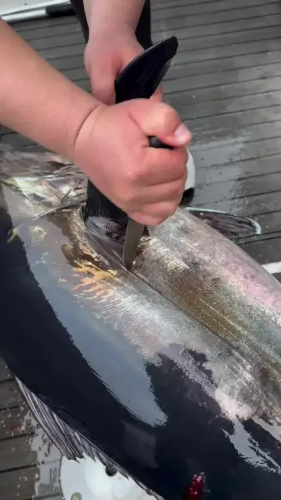 #���� #������ #���ڲ��Ƕ��� #���ڲ��Ƕ����˶� #���ڲ��Ƕ����Ķ���