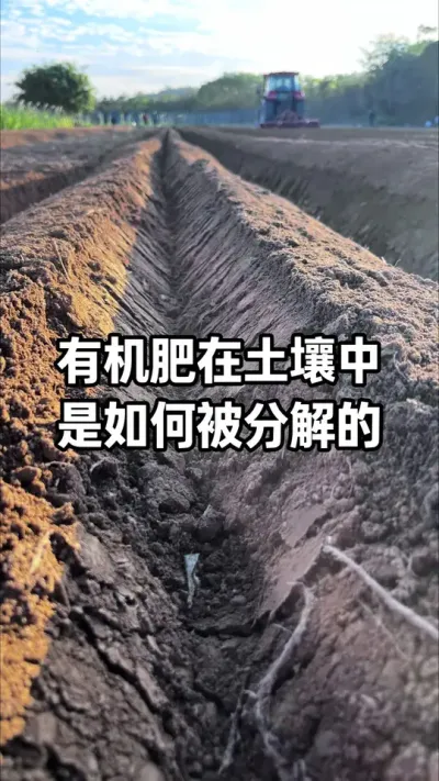 �л������������������������� #�л��� #�������� #��̬ũҵ #������ũ֧����ũ #�л�ũҵ