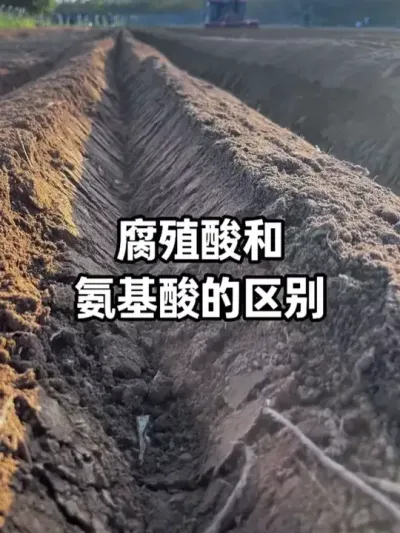 ��ֳ��Ͱ���������� #��ֳ�� #������ #�������� #�ٸ�׳�� #ũҵݪֲ