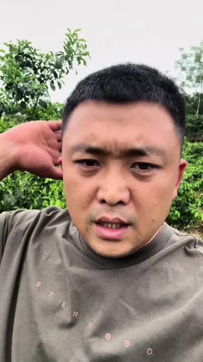 遭不住，防不胜防#柑橘 #柑橘种植 #果农的生活