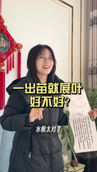 �����ȳ�ѿ�վ��ȳ�����#��ũ������2025 #������ѧũ�� #�����ػ��� #��ݪֲ