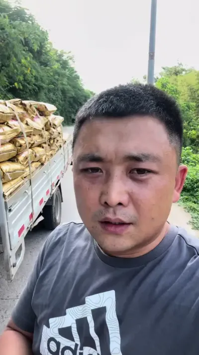 增甜增色，做早熟最巴适的，纯有机质上糖#柑橘种植 #紫牛金装