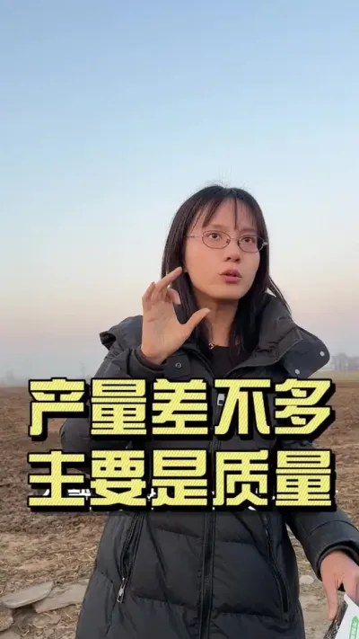 ���������������ײ���ʲô�������������ú�˵˵#��ݪֲ #��ݪֲ���շ��� #��ũ������2025 #�ٷ�ԣũ