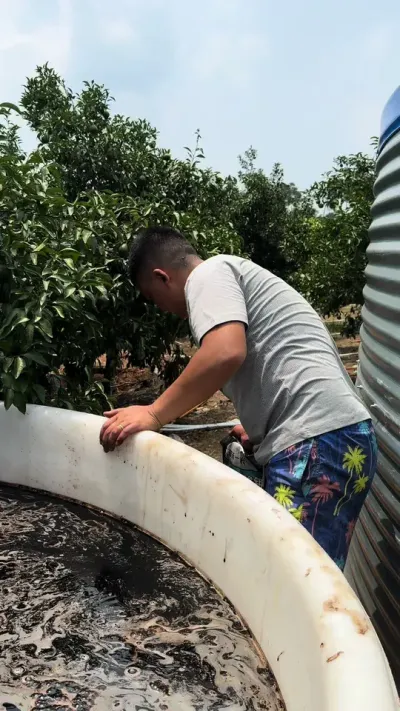 �½���Դ�Ƹ���� 20��һ��100Ԫ���� ȫˮ��#��ũ #����ݪֲ #��԰���� #��Դ�Ƹ����