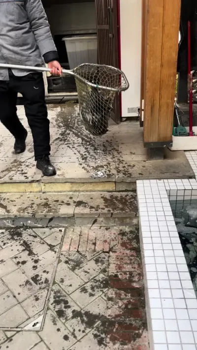 #����һ�𳢸��� #�� #�㵽��ͷ����ʳ #ǿ���Ƽ�