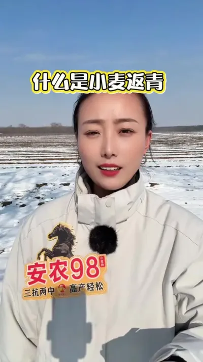 С������ʲô ��������һ�췵���������¶�������#��ũ #��ũ������ #��ũ98 #С���� #��ũݪֲ