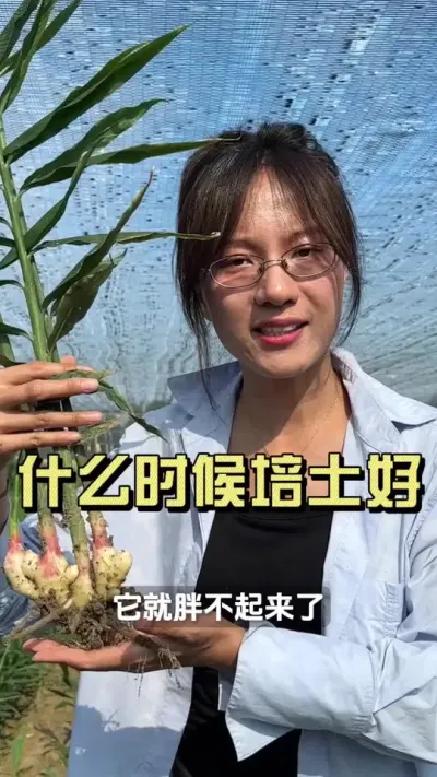 ��Ӧ��ʲôʱ��ȥ������#��ũ������2025 #������ѧũ�� #�����ػ��� #��ݪֲ #����