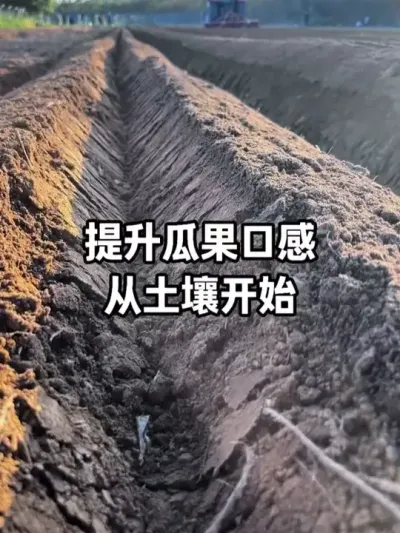 �Ϲ��߲��������ڸеôӸ����������� #�������� #��΢��Ԫ�� #�������� #ũҵݪֲ #��ũ