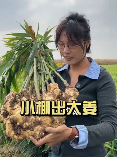 2��С��Ҳ�ܳ��󽪣�#��ũ������2025 #������ѧũ�� #�����ػ��� #��ݪֲ