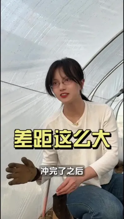 冲完四天后的差距就这么大！#新农人计划2025 #抖音助农扶农 #大姜种植 #乡村生活家 #来抖音学农技