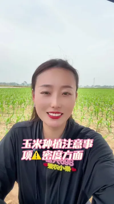 玉米播种注意事项⚠️密度选择 高产伴随着风险，稳产才是王道！#支持三农扶持三农发展 #三农 #抖音助农 #玉米 #富兴698