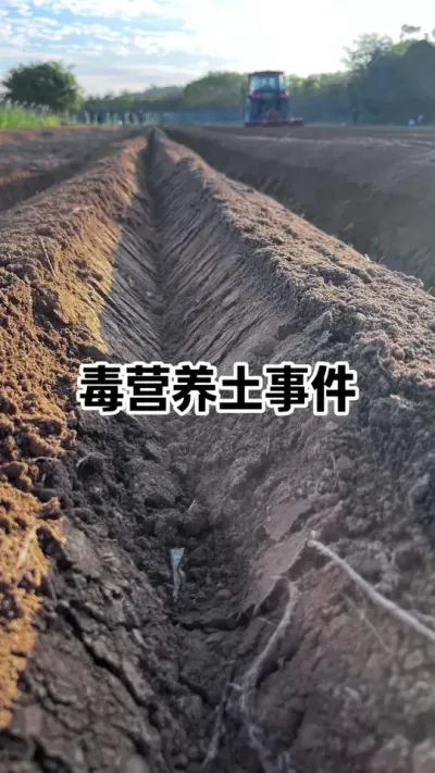 �������µ��ǶԿ������ڴ���������������Ǳ���������Ƿݳ����ָ����ﰲ����#Ӫ���� #�������� #����ũҵ #������ũ֧����ũ #��̬ũҵ