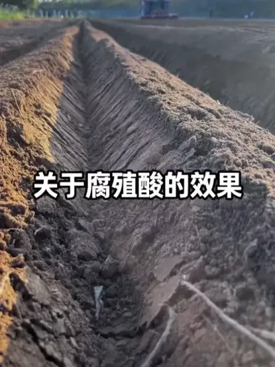 ���ص�Ҫ��������Ҫ����ƾ֤�Լ�����ѡ��֤���� #��ֳ�� #�������� #ũҵݪֲ #��ˮ���� #�������