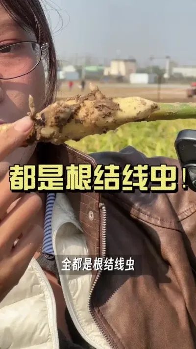 Ϊʲô������˳�����ʱ��ȥȥ�������ڽ�������������ձ�&hellip;#��ũ������2025 #������ѧũ�� #�����ػ��� #��ݪֲ