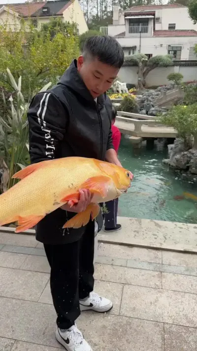 �������ֵ���Ԥ�����������������ȷ����������õ�����?����#���д������Ĺ���Ա������԰����ά�����ѷ�������������������̬����ÿһ��ϸ������������ѬȾÿһλ����������ɽ��ˮ��ʵ�����Ҽ�ֵ�����Ȱ���