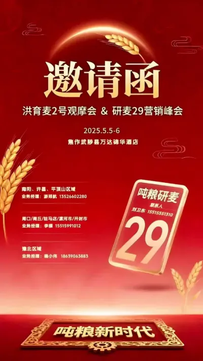 研麦29田间长势 有幸参加河南国奇种业的洪育麦2号观摩会和研麦29的营销峰会#河南国奇农业科技有限公司 #研麦29 #三农 #抖音助农 #麦田