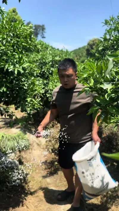 一粒富格橘大包装升级了#果树管理 #中微量元素水溶肥 #三农 #好物推荐🔥