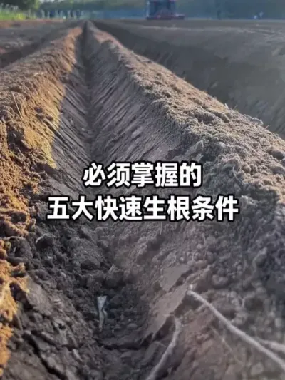 ���������Դٸ���Ǥ���������վ���������ĸ�ϵ�������⼸������ϵ����&ldquo;����&rdquo;����ð������׳ʵ����������#�������� #���� #����׳�� #����͸�� #ũҵݪֲ