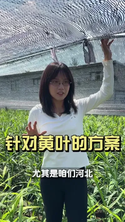 ��Դ󽪻ƻ��ļƻ���#��ũ������2025 #������ѧũ�� #�����ػ��� #��ݪֲ #�ƻ�