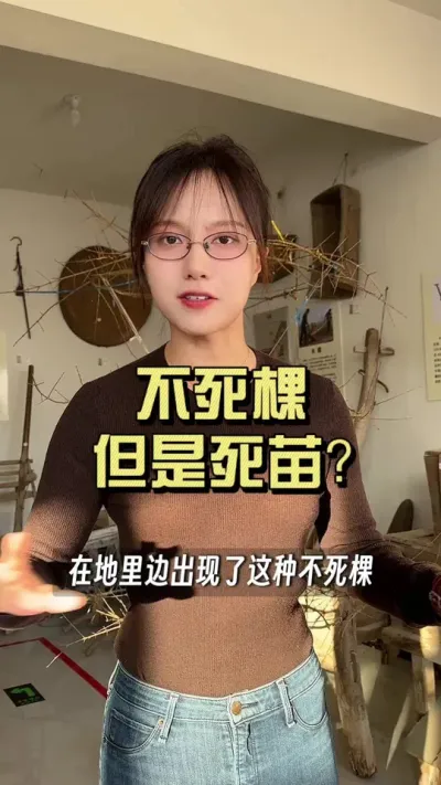 �����������ͼ�Ǯ�����Բ���ֻ�����ݶȵ�����Ҫ���������硢�����������ǻ��ÿ��⼸��&hellip;&hellip;#��ũ������2025 #�����ػ��� #��ݪֲ #������ѧũ��