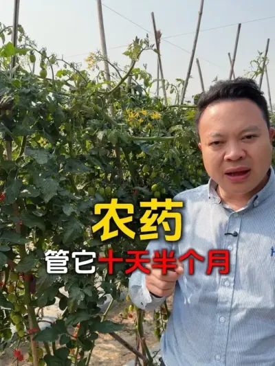 ���������Ӹ�����������������������΢��������������� #�������� #������� #΢������� #����׳�� #�������ĸ���Ҫ��