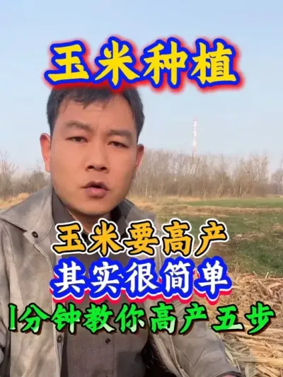 ���׸߲��������� #����ݪֲ#���׸߲�#���׹�������#ũҵ��ũ#����ݪֲ���������