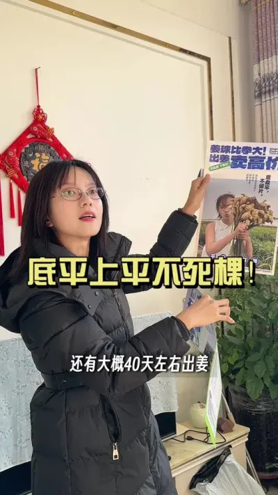 ���ǵĽ���������ɽ���ӱ��վɰ��������ǵ�ƽ��ƽ��ƽ�ν��������������µ�β�����ò�������#��ũ������2025 #������ѧũ�� #�����ػ��� #��ݪֲ