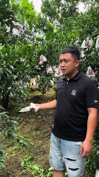 ��֩����� ����˵զ��#��԰���� #��ũݪֲ #ݪֲ����