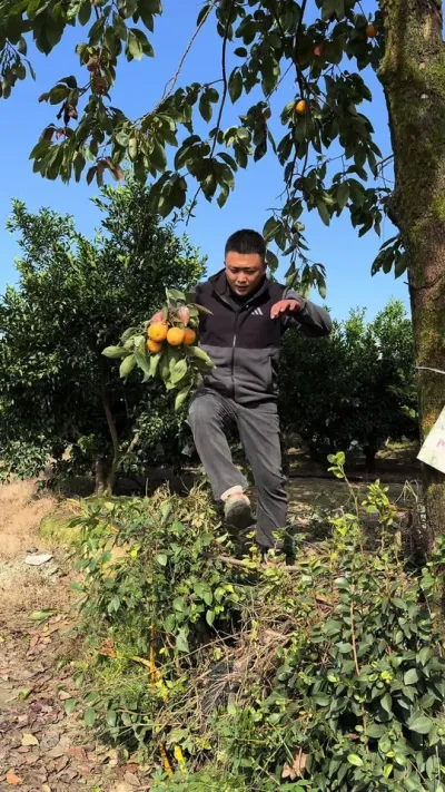 ��ʱ�������#�ҵ��������� #��ũ