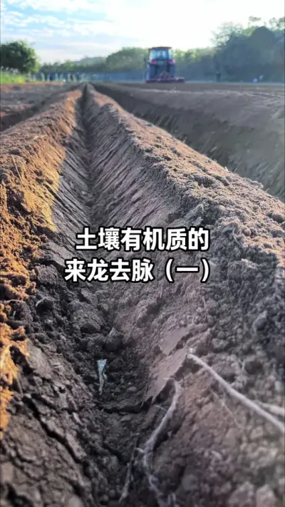 ݪֲ��߲�����Ū���������л�����ʵ�����������ֵ�����ȥ���� #�����л��� #�л��� #�������� #ũҵݪֲ #ݪֲ��