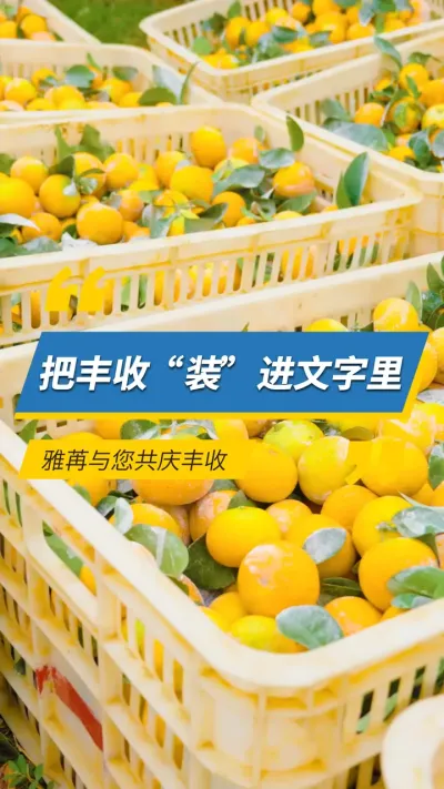 �ѷ���&ldquo;װ&rdquo;����������������������#���۹��� #ũҵݪֲ #������ #��� #�й�ũ����ս� 