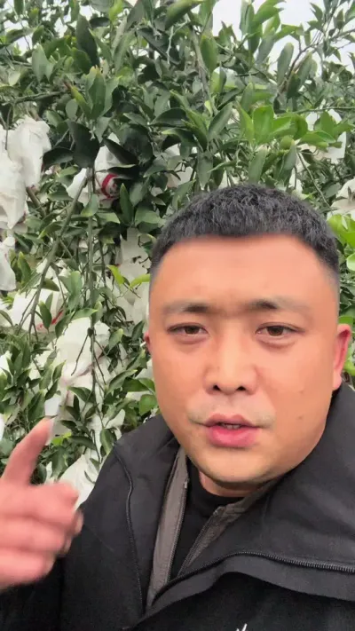 ���������������� �Լ��Ժ�����#��ũ #ũҵݪֲ #�������� #����ݪֲ