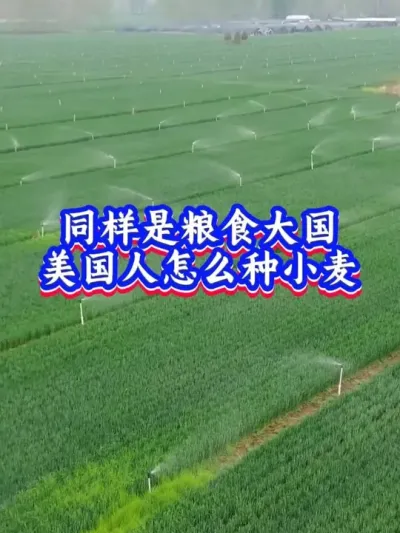 ��С�� #ũҵ  #ũ�� #ũ�� #��ũ  #ˮ�� #�Ͳ� #С��  #���� #���� #�ֵ� #���� #���� #��ʳ #ݪֲ #ũ�� #ũ�� #���� #���� #���� #��ũ�� #���Ϸ� #�Ͳ�ݪֲ #