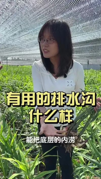 ���ڸ��ؽ���Ҳ�����������ǽ�����ʲô������ˮ���������õ���ˮ������#��ũ������2025 #������ѧũ�� #�����ػ��� #��ݪֲ #��ˮ��