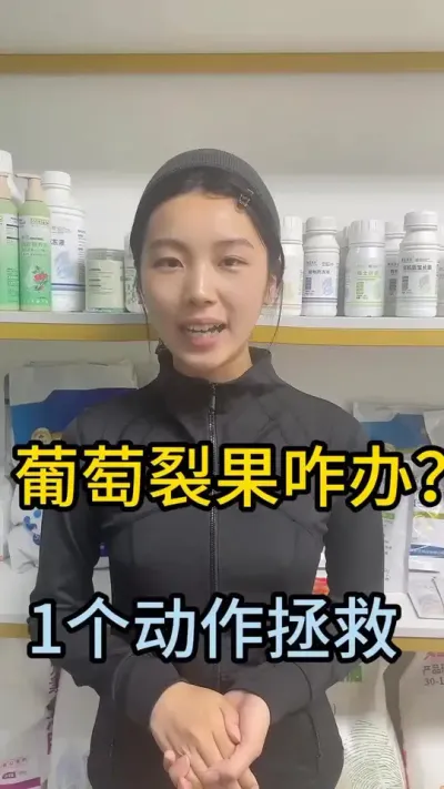 #葡萄  #种植小技巧 #农业种植 #三农 #增产增收